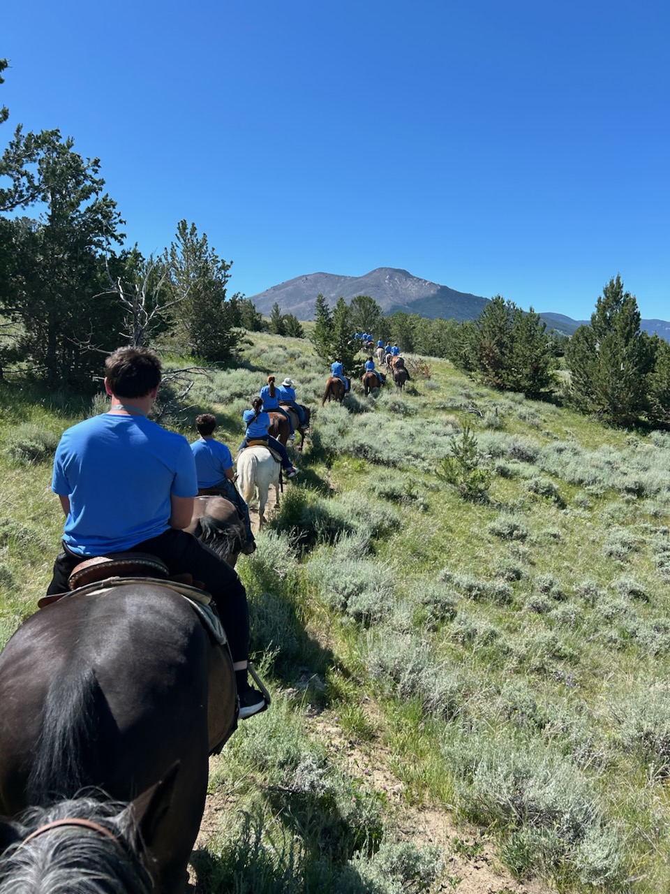 NACAA AMPIC 2025 Billings, MT Sons and Daughters Horseback Riding with Elk River Outfitters